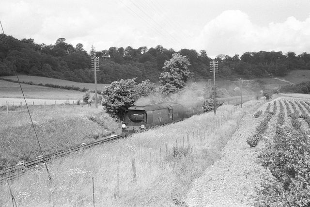 Bluebell Railway Museum