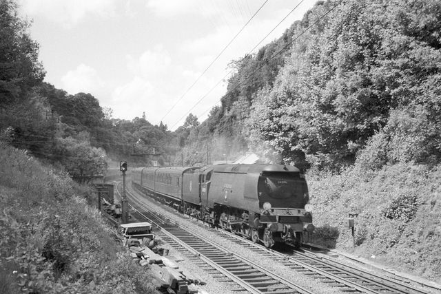 Bluebell Railway Museum