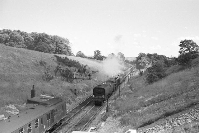 Bluebell Railway Museum