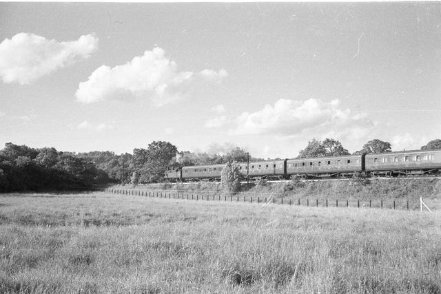 Bluebell Railway Museum