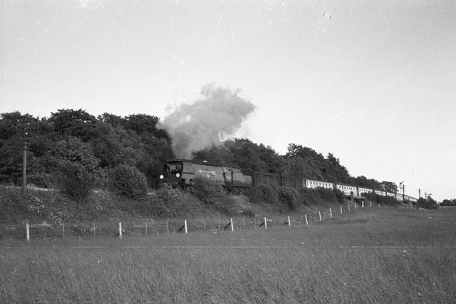 Bluebell Railway Museum