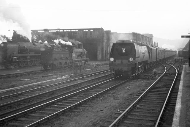 Bluebell Railway Museum