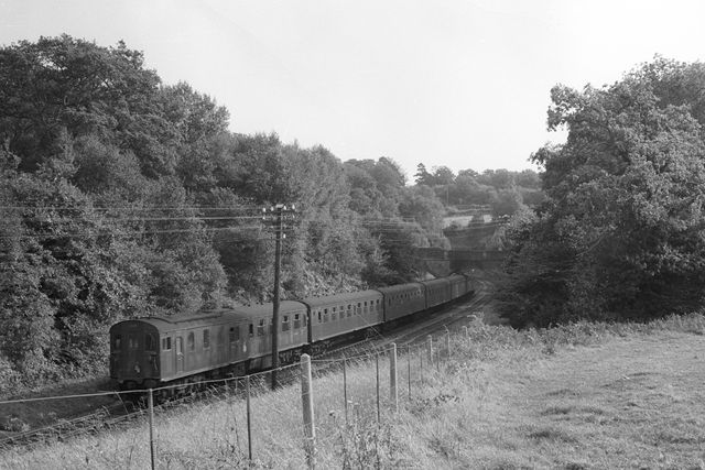Bluebell Railway Museum