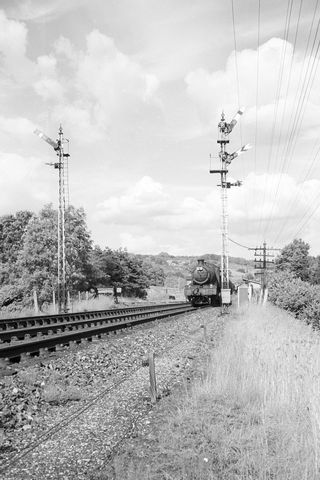 BR(S) Q1 class 33022 at Gomshall and Shere, Surrey on Saturday 22 Jun 1963 - A. Postlewaite [051507]
