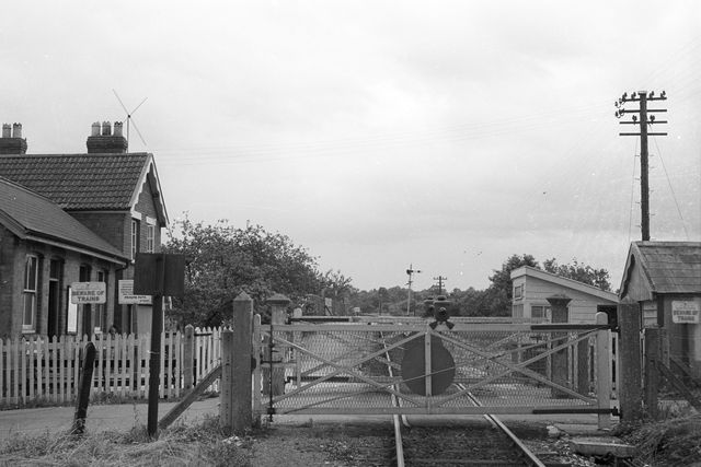 Ashcott, Somerset on Thursday 11 Jul 1963 - A. Postlewaite [051602]