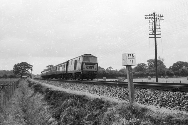 BR Hymek class at Tiverton Junction, Devon on Wednesday 15 Jul 1964 - A. Postlewaite [051674]