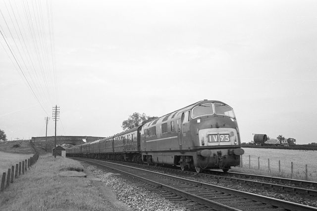 BR Class Warship D828 'Magnificent' at Dorrington, Shropshire on Sunday 19 Aug 1962 - A. Postlewaite [051697]