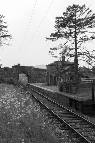 Bluebell Railway Museum