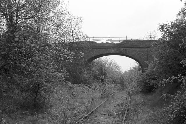 Stafford Common, Staffordshire on Sunday 27 May 1962 - A. Postlewaite [051772]
