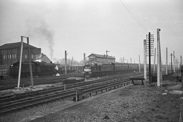 Bluebell Railway Museum