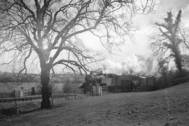 Bluebell Railway Museum
