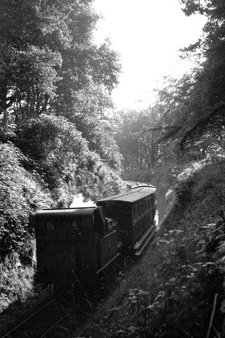 Bluebell Railway Museum