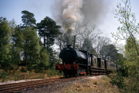Bluebell Railway Museum
