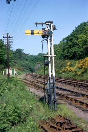 Bluebell Railway Museum