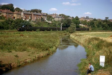 Bluebell Railway Museum