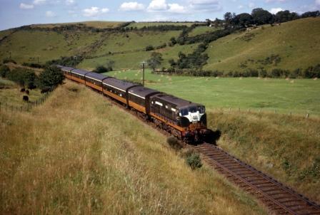 Bluebell Railway Museum