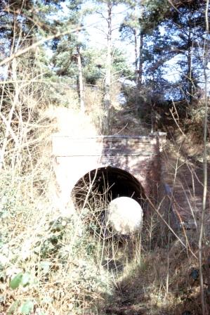Tunnel, Tenterden St Michaels, Kent on Thursday 14 Jan 1965 - J.J. Smith [060845]