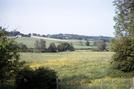 Near Mayfield, East Sussex on Thursday 10 Jun 1965 - J.J. Smith [061006]