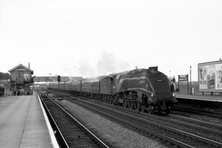 Bluebell Railway Museum