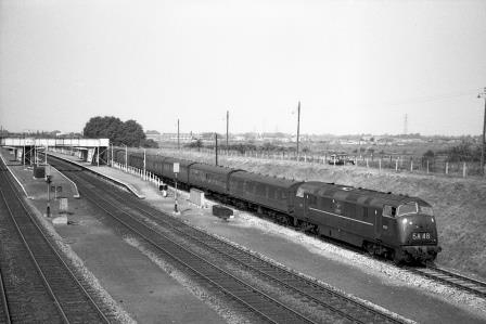 Bluebell Railway Museum