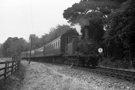 Bluebell Railway Museum