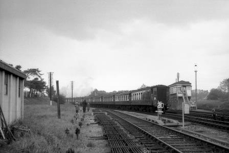 Bluebell Railway Museum