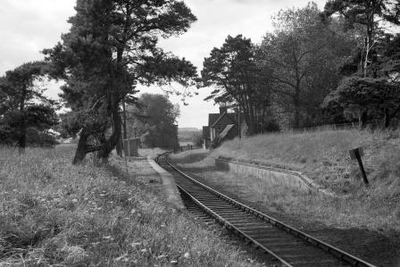 Bluebell Railway Museum