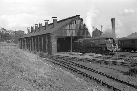 Bluebell Railway Museum