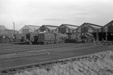 Bluebell Railway Museum