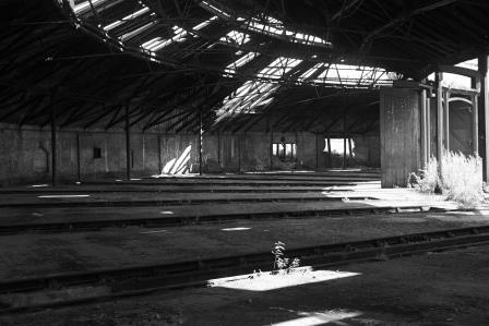 Bluebell Railway Museum