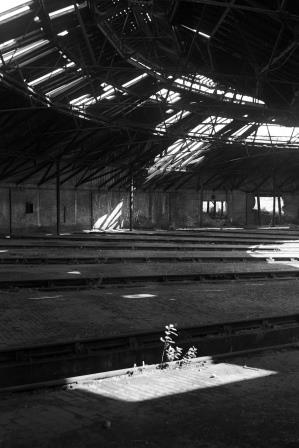 Horsham Shed, West Sussex on Bank Holiday Monday 02 Sep 1968 - J. Scrace [081760]