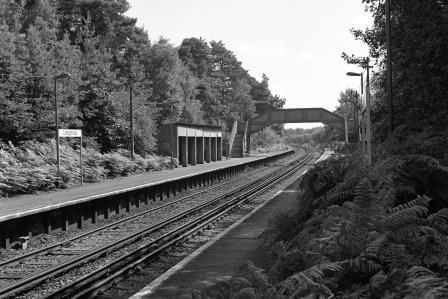 Longcross Station, Surrey on Wednesday 03 Aug 1988 - J. Scrace [082206]
