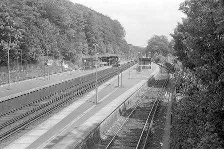 Preston Park, East Sussex on Thursday 30 Jun 1977 - J. Scrace [082746]