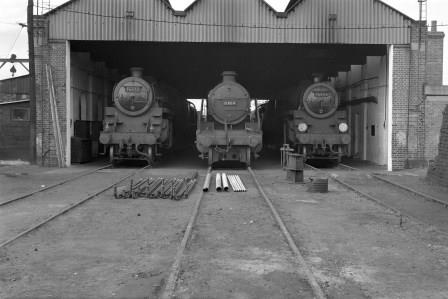 BR Std 4MT class 76055 & BR(S) N class 31864 & BR Std 4MT class 76054 at Redhill Shed, Surrey on Monday 01 Sep 1958 - J. Scrace [082852]