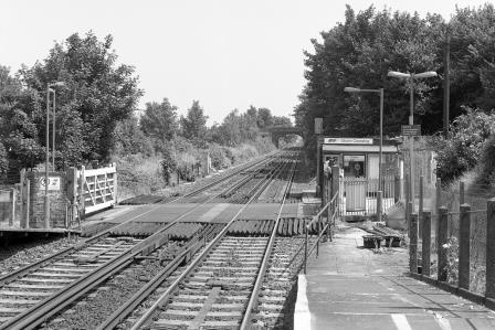 Bluebell Railway Museum
