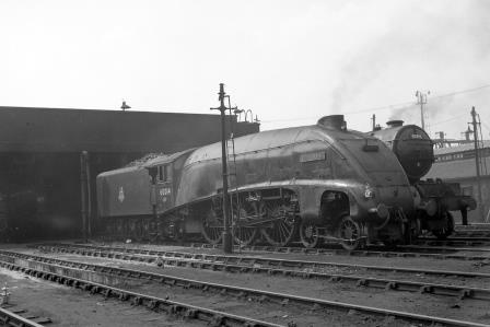 BR(E) A4 class 60014 'Silver Link' at Kings Cross Shed, Greater London in Jun 1952 - J.H.W. Kent [090294]