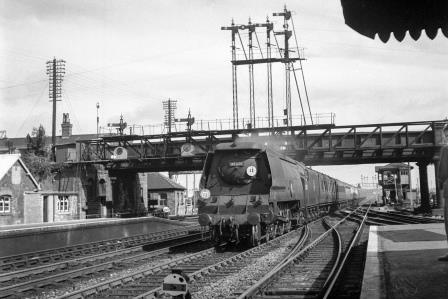 BR(S) Merchant Navy class 35020 'Bibby Line' at Eastleigh Station, Hampshire with a Waterloo - Bournemouth service on Wednesday 27 Aug 1952 - J.H.W. Kent [090542]