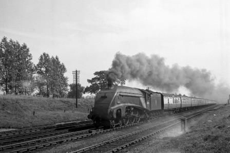 BR(E) A4 class 60032 'Gannet' north of Potters Bar, Hertfordshire with a down Passenger service on Friday 29 Aug 1952 - J.H.W. Kent [090576]