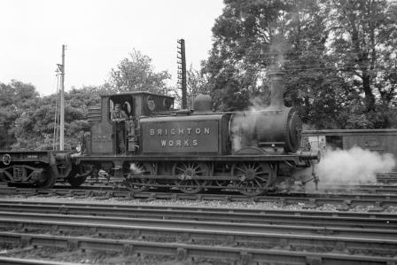 BR(S) Terrier class 377S 'Brighton Works' near Preston Park Pullman Car Works, East Sussex on Thursday 05 Jul 1951 - J.H.W. Kent [091462]