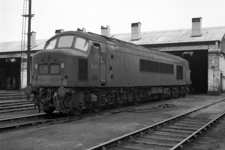 Bluebell Railway Museum