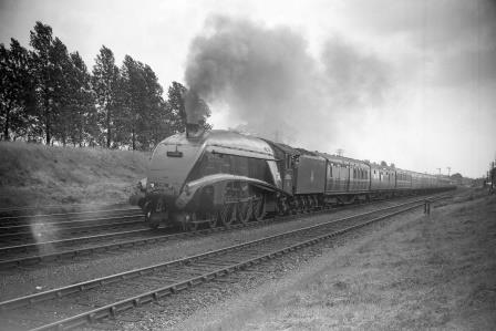 Bluebell Railway Museum