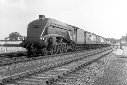 Bluebell Railway Museum