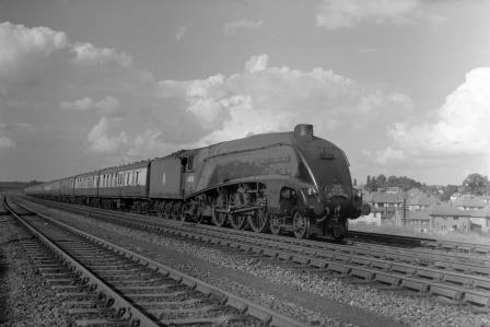 Bluebell Railway Museum