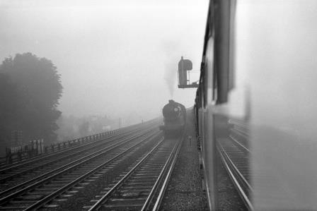 Bluebell Railway Museum