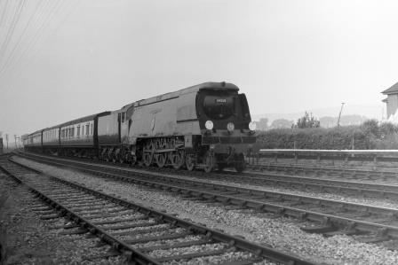 BR(S) Battle of Britain class 34058 'Sir Frederick Pile' approaching Cosham, Hampshire with an Inter Regional - Portsmouth via Basingstoke service on Saturday 25 Jun 1955 - J.H.W. Kent [094854]