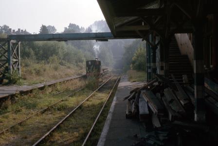 Bluebell Railway NLR Goods class 2650 at West Hoathly Station, West Sussex on Friday 02 Oct 1964 - R.C. Riley [105307]