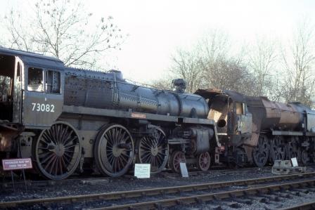 Bluebell Railway Museum