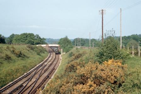 Bluebell Railway Museum