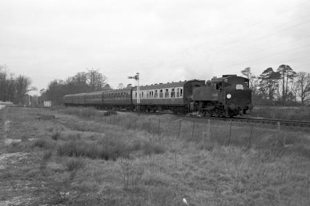 Bluebell Railway Museum