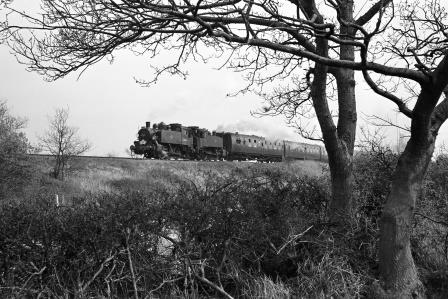 Bluebell Railway Museum